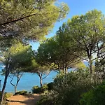 Lo Scoglio Del Gabbiano