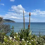 Lo Scoglio Del Gabbiano