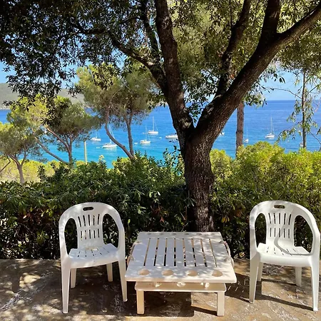 Lo Scoglio Del Gabbiano Arcipelago Toscano