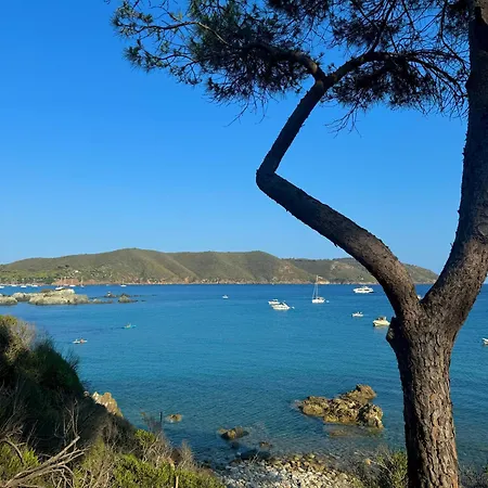 Lo Scoglio Del Gabbiano *