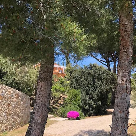 Lo Scoglio Del Gabbiano *