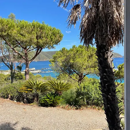 Lo Scoglio Del Gabbiano *